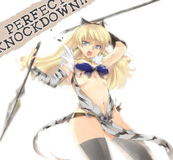 blonde_hair elina female queen's_blade shitapai spear