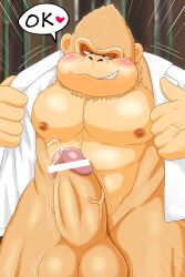 absurd_res ape balls bantau3 blush censor_bar censored clothed clothing donkey_kong_(series) erection genitals haplorhine hi_res humanoid_genitalia humanoid_penis kong_guard_(tsmbm) male mammal mario_(series) open_clothing open_shirt open_topwear penis primate shirt solo solo_male super_mario_bros._(2023_film) topwear