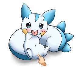 generation_4_pokemon hi_res horuru nintendo pachirisu pokemon pokemon_(species)