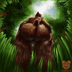 anthro ass bear big_butt bodily_fluids cum female fisheye_lens forest genital_fluids genitals hand_on_leg hand_on_thigh looking_at_viewer low-angle_view mammal outside plant pussy solo t3ddyb3ar tree