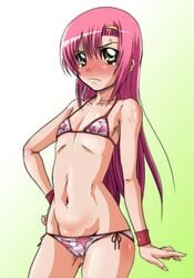 hayate_no_gotoku! katsura_hinagiku pettanko tagme