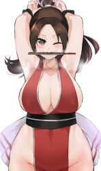 mai shiranui from fatal fury by okpriko