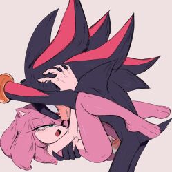 amy rose from sega