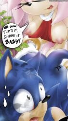 amy_rose futa_on_male futanari rape sonic_(series) sonic_the_hedgehog tcprod