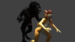 anthro blender_(software) canid canine erection felid female male male/female mammal meme pantherine tiger unsuspecting_victim were werecanid werecanine werewolf