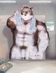 1boy abs absurd_res anthro balls brown_body brown_fur brown_pubes canid canine canis chest_tuft drying e_alpine foreskin fur genitals hi_res horkeukamui lifewonders locker_room male male_only mammal muscular muscular_male nipples partially_retracted_foreskin pecs penis pubes solo tokyo_afterschool_summoners towel tuft white_body white_fur wolf yellow_eyes