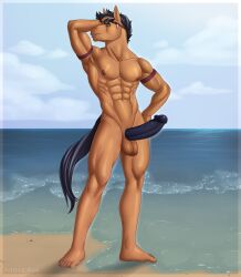 abs anthro balls equid equine genitals hi_res horse male male_only mammal mareau muscular muscular_anthro muscular_male nipples pecs penis pony solo tida vein veiny_penis