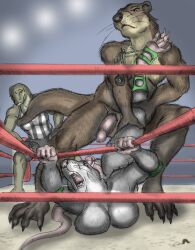 anthro anthro_only breasts competition dominant dominant_male female fighting_ring genitals hi_res imminent_rape male male/female mammal mustelid otter penis referee story story_in_description whimsicalsquirrel wrestling