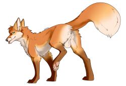 2023 alpha_channel animal_genitalia balls canid canine feral fox genitals hi_res keyos_fox male mammal sakemanni solo