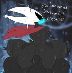 anal big_ass big_breasts female hollow_knight hornet_(hollow_knight) incest japansadface penetration penis protagonist_(hollow_knight) sex tagme