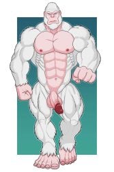 2:3 5_fingers 5_toes abs absurd_res anthro ape balls feet fingers fur genitals gorilla haplorhine hi_res humanoid male male_only mammal monawolt monkey monkey_boy muscular muscular_male pecs penis primate solo toes walking white_body white_fur