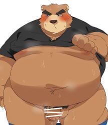 0119_muu 2023 anthro bear belly big_belly blush bodily_fluids brown_body censored clothed clothing clothing_lift flaccid genitals hi_res humanoid_hands kemono male mammal moobs musk navel nipples obese obese_male overweight overweight_male penis pubes shirt shirt_lift solo sweat topwear