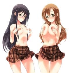 2girls amakusa_shino big_breasts black_hair blush breasts brown_eyes brown_hair fingers_covering_nipples fingers_on_nipples fuyube_rion hand_bra hands_covering_breasts higher_resolution_available holding_breast looking_at_viewer partially_clothed presenting seitokai_yakuindomo shichijou_aria skirt small_breasts smile standing sweat topless white_background