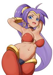 1girls ajidot armpits arms_behind_head big_breasts blue_eyes breasts busty child_bearing_hips cleavage curvy dark-skinned_female dark_skin female female_only large_breasts long_hair midriff navel o-ring open_mouth pants pointy_ears ponytail pose posing purple_hair seductive sensual sexy_armpits shantae shantae_(character) smaller_female smile smooth_skin solo thick_thighs thighs voluptuous wide_hips