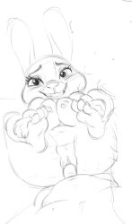 anthro blush bonnie_hopps breasts disney duo female first_person_view genitals humanoid_genitalia humanoid_penis lagomorph leporid male male/female mammal mature_female monochrome penis pussy rabbit sex short_stack slightly_chubby trashtikko vaginal_penetration zootopia