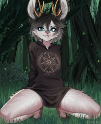2d 2d_(artwork) 2d_artwork anthro drawstring forest forest_background furry hoodie hoodie_only jackalope jackalope_humanoid squatting tekilao whiskers