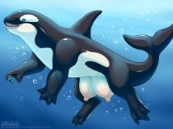 1girls 2020 big_crotchboobs blue_eyes bubbles cetacean claws crotchboobs fangs female female_only feral feral_only fins furaffinity_url loimu nipples no_humans orca signature tail tail_fin teeth tongue underwater