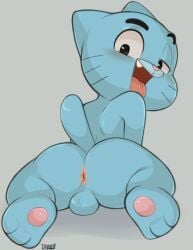 anus blush cartoon_network dandi furry gumball_watterson male solo the_amazing_world_of_gumball toony young