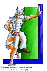 2009 anthro baregoot black_body black_eyes black_fur blue_eyes briefs briefs_only bulge canid canine clothed clothing colored_seam_underwear english_text fur geometric_shapes grey_body grey_fur hybrid male mammal orange_body orange_fur red_seam_briefs red_seam_underwear smile solo teenage_mutant_ninja_turtles text tighty_whities topless underoos underwear underwear_only white_briefs white_clothing white_underwear zotter