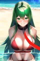 ai_generated beach bikini bondage collar collar_and_leash embarrassed fire_emblem fire_emblem:_mystery_of_the_emblem green_eyes green_hair happy_sub leash leash_and_collar leash_pull nintendo novelai outdoors palla_(fire_emblem) sea smile tiques water