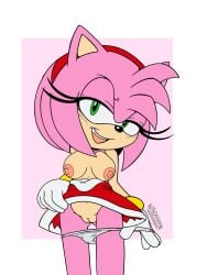 amy rose from sega by spindasher98