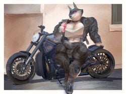anthro balls_outline big_breasts big_bulge big_penis biker boots bottomwear breasts bulge canid canine canis clothing container crossgender cup detailed_bulge drinking drinking_straw eyewear facial_piercing footwear ftg_crossgender fti_crossgender futanari genital_outline genitals gynomorph holding_container holding_cup holding_object illumination_entertainment intersex jacket knee_pads leather leather_clothing leather_jacket leather_topwear looking_at_viewer male mammal midriff motorcycle muscular muscular_anthro muscular_gynomorph muscular_intersex navel navel_piercing nose_piercing nose_ring pants penis penis_outline piercing porsha_crystal ring_piercing shoes sing_(movie) solo spectrumshift sunglasses topwear vehicle wearing_sunglasses wolf