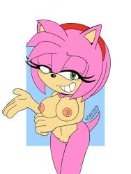 amy rose from sega by spindasher98