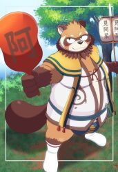 2023 absurd_res anthro asian_clothing awa_(tamacolle) belly big_belly black_nose blush bulge canid canine clothing east_asian_clothing fundoshi hi_res humanoid_hands inugamihito japanese_clothing kemono male mammal moobs outside overweight overweight_male plant raccoon_dog solo tamacolle tanuki tree underwear