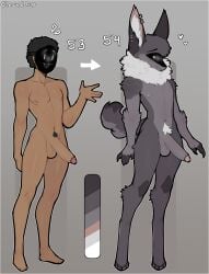 absurd_res ace_(claweddrip) alternate_species anthro balls black_hair canid canine claweddrip crotch_tuft dark_body dark_skin dragon ear_piercing erection fur furred_dragon furrification genitals grey_body grey_fur hair hi_res humanoid_genitalia humanoid_penis hybrid inner_ear_fluff male male_only mammal mask model_sheet neck_tuft original penis piercing solo standing tuft