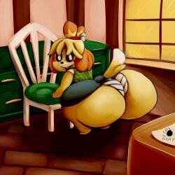 1girls animal_crossing anthro ass blonde_hair cabinet canine canine_humanoid chair dat_ass dialbforbear dog female female_focus female_only furry hyper hyper_ass isabelle_(animal_crossing) large_ass looking_back nintendo panties presenting presenting_hindquarters shih_tzu shortstack skirt striped_panties underwear wardrobe_malfunction yellow_fur