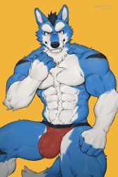 2023 2:3 4_fingers anthro blue_body blue_fur bulge canid canine canyne_khai claws countershade_face countershade_fur countershade_torso countershading eyebrows fangs fingers fur hi_res looking_at_viewer male mammal muscular muscular_anthro muscular_male seto_(seto_r30) solo tail teeth