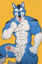 2023 2:3 4_fingers anthro balls blue_body blue_fur bodily_fluids canid canine canyne_khai claws condom countershade_face countershade_fur countershade_torso countershading cum erection eyebrows fangs filled_condom fingers fur furry genital_fluids genitals glans hi_res humanoid_genitalia humanoid_penis looking_at_viewer male mammal muscular muscular_anthro muscular_male penis seto_(seto_r30) sexual_barrier_device solo tail teeth tongue tongue_out vein veiny_penis wearing_condom