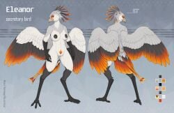 accipitriform anthro avian bird digitigrade feathered_crest feathered_wings feathers female harmaagriffin head_crest hi_res highlights_(coloring) long_legs model_sheet nipple_piercing nipples orange_highlights piercing secretary_bird slim solo wings