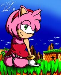 1girls amy_rose ass ass_focus datdreamguy_(artist) female_only green_eyes hedgehog pink_fur skirt sonic_(series)