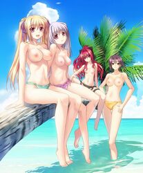 hyperdimension_neptunia long_hair shinkyoku_soukai_polyphonica tagme topless