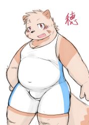 2023 absurd_res anthro bear_2key belly blush brown_body bulge canid canine cute_fangs hi_res kemono male mammal overweight overweight_male raccoon_dog simple_background solo solo_male tanuki wrestling_singlet