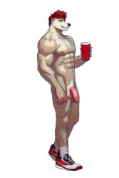 animated anthro canid canine canis clothing footwear frat_boy humanoid male male_focus male_only mammal muscular red_solo_cup sanctioned13 shoes solo solo_male wolf