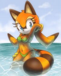 2013 aged_up anthro bikini breasts brown_body brown_fur female looking_at_viewer marine_the_raccoon nancher procyonid raccoon sea sega smile solo sonic_(series) sonic_the_hedgehog_(series) swimsuit two_tone_body