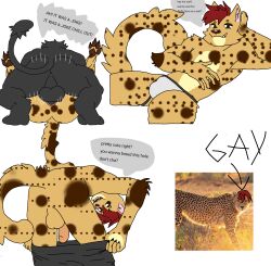 anal anal_sex anthro cheetah domestic_cat duo english_text felid feline felis hi_res kingofpowerbottoms long_tail male male/male mammal markings meme meme_in_the_background pantherine penetration shitpost solo speech_bubble spots spotted_markings tail text unfinished wild_cat