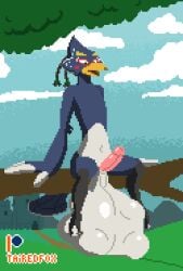 animated anthro anthro_pred avian beak biped blonde_eyebrows blue_body blue_feathers blue_fur breath_of_the_wild cock_vore digital_media_(artwork) eyebrows feather_hands feathered_wings feathers front_view fully_inside fur furry genitals male_only nintendo penile penis pixel_(artwork) pixel_animation revali rito soft_vore tairedfox the_legend_of_zelda vore wings yellow_beak