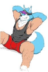 2018 armpit_hair black_nose blue_body blue_fur body_hair bulge canid canine canis clothing digital_drawing_(artwork) digital_media_(artwork) domestic_dog fur genital_outline grin hat headgear headwear hi_res humanoid male male_only mammal monapic_chang muscular muscular_male penis_outline red_clothing red_underwear simple_background smile solo solo_male split_form subaru_(monapic_chang) teeth topwear underwear vest white_background white_body white_fur