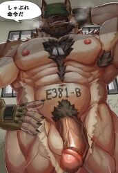 abs anthro balls body_hair canid canine canis chest_hair dog_tags domestic_dog genitals german_shepherd herding_dog hi_res male male_only mammal miazuma_shouki muscular muscular_anthro muscular_male nipples pastoral_dog pecs penis pubes solo solo_male vein veiny_muscles veiny_penis