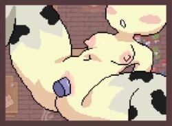 animated areolae belly belly_button blush breasts clitoris cow_girl cow_print cow_thighighs cum cum_in_pussy cum_inside game_cg holstaurus light-skinned_female lilmoonie missionary_position nipples open_mouth penis perky_breasts pixel_animation pixel_art princess_and_conquest pussy thick_thighs thighhighs