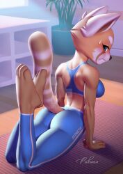 1girls aggressive_retsuko aggretsuko anthro anthro_only blue_clothing female fully_clothed jpeg netflix pakwan008 retsuko sanrio signature smooth_fur solo sports_bra tagme tail watermark yoga_mat yoga_pants