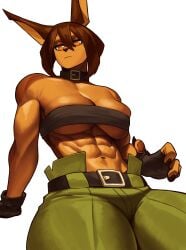 1girls abs anthro breasts brown_hair canine collar dog_ears dog_knight_rpg domestic_dog female female_only fingerless_gloves looking_at_viewer muscular muscular_female narrowed_eyes orange_eyes rory_(ceehaz) solo sotcho topwear unamused very_high_resolution white_background