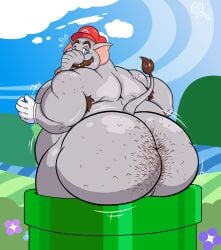 1boy anthro ass belly big_butt blue_eyes body_hair brown_hair butt_hair clothing elephant elephant_mario elephantid embarrassed facial_hair gloves grey_skin hairy_ass handwear hat headgear headwear hi_res jr7luckytanuki male male_only mammal mario mario_(series) mustache nintendo nude nude_male overweight proboscidean proboscis_(anatomy) solo solo_male super_mario_bros._wonder tail tail_tuft toony trunk_(anatomy) warp_pipe