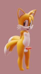 1boy 3d furfnsfw knot male male_only solo solo_male sonic_(series) tagme tails tails_the_fox