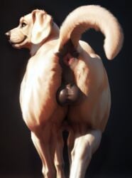 2023 absurd_res ai_generated animal_genitalia anus anus_focus ass backsack balls ballsack black_nose canid canine canis domestic_dog feral feral_only floppy_ears fur furry gay genitals glistening glistening_genitalia happy hi_res inviting inviting_to_sex looking_at_viewer looking_back looking_back_at_viewer male male_only mammal nude orange_eyes perineum pink_anus presenting presenting_anus presenting_ass presenting_balls presenting_hindquarters raised_tail rear_view seductive shuffur simple_background smile solo stable_diffusion standing tagme tail taint yellow_body yellow_fur