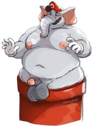 1boy anthro bara elephant elephant_fruit elephant_mario elephantid fat fat_man gay genitals hi_res hornyphobic male male_only mammal mario mario_(series) nintendo nude nude_male overweight overweight_male penis pipes proboscidean solo stuck_in_pipe super_mario_bros._wonder