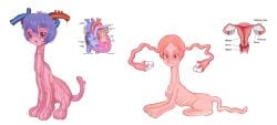 anatomically_correct anatomy_reference avvunka background cervix endometrium fallopian_tubes heart heart_(organ) myometrium organs ovaries ovary perimetrium reproductive_anatomy simple_background tail uterus vagina what_has_science_done white_background wtf